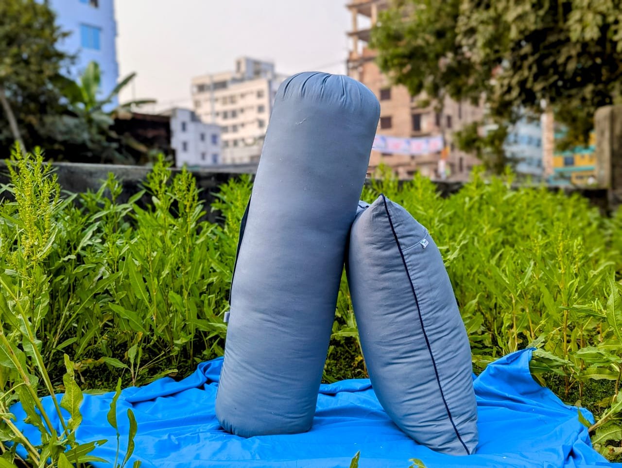 একটি মাথার বালিশ এবং একটি কোরবালিশ